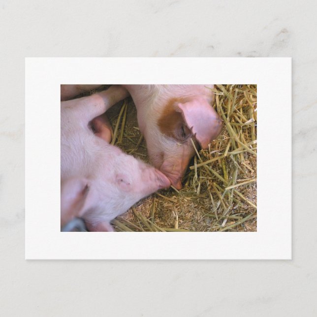 Carte Postale Le baiser (Devant)