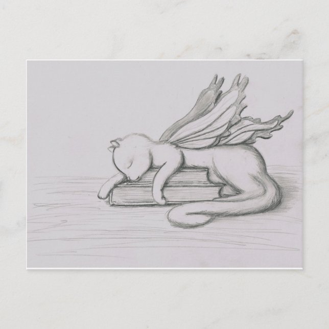 Carte Postale Le bibliothécaire (Devant)