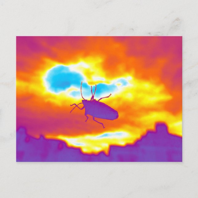 Carte Postale Le bourbier psychédélique (Devant)