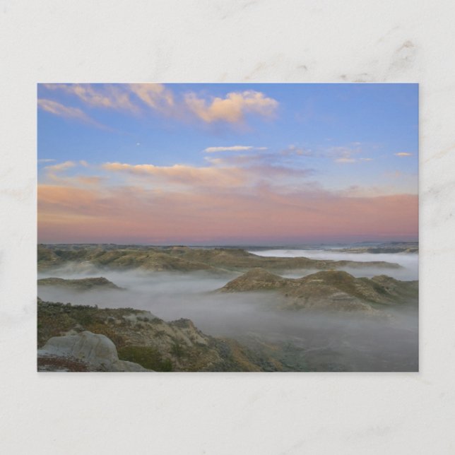 Carte Postale Le brouillard de la rivière Little Missouri est su (Devant)