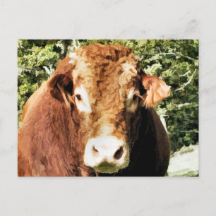 CARTE POSTALE LE BULL