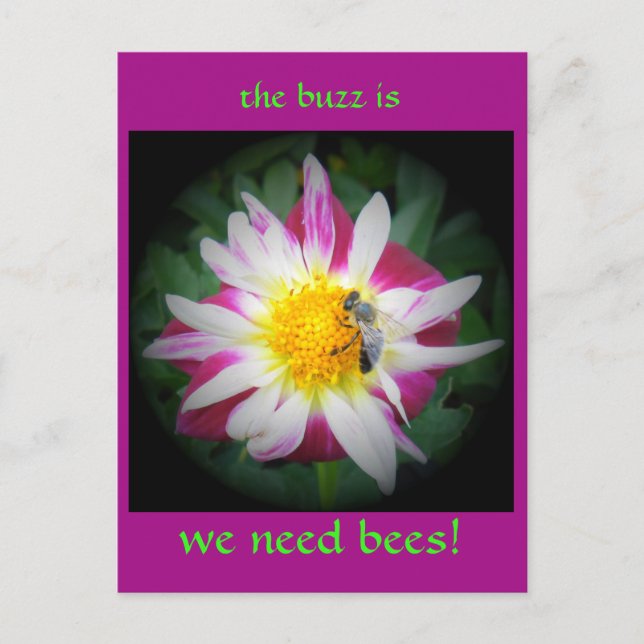 Carte Postale le buzz sur les abeilles (Devant)