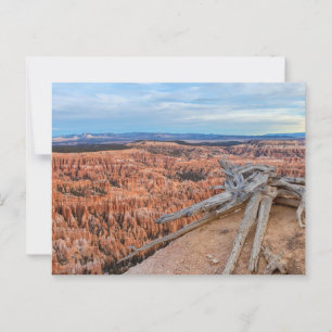 Carte Postale Le canyon du parc national Bryce à Sunrise