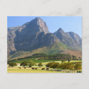 Carte Postale Le Cap, Cap-Occidental, Afrique du Sud