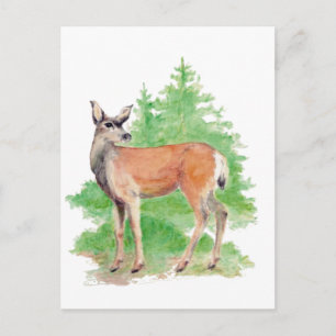 Carte Postale Le cerf d'aquarelle, la nature animale