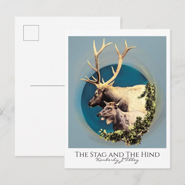 Carte Postale Le Cerf et la Biche (Devant / Derrière)