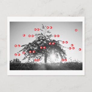 Carte Postale Le Cerisier