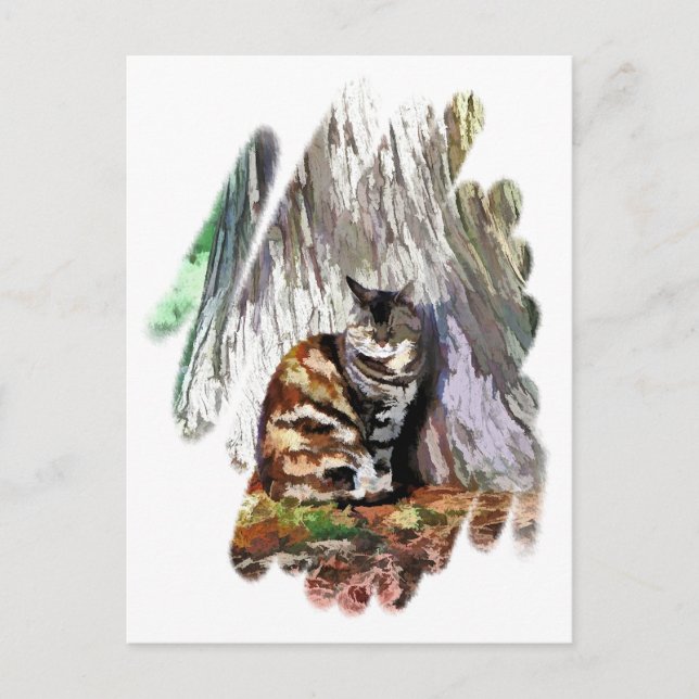 CARTE POSTALE LE CHAT (Devant)