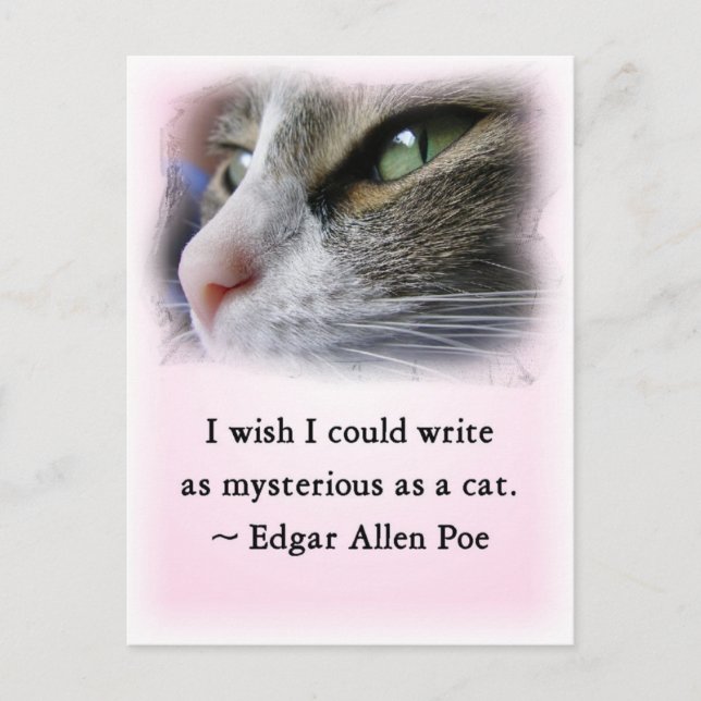 Carte Postale Le chat de Poe (Devant)