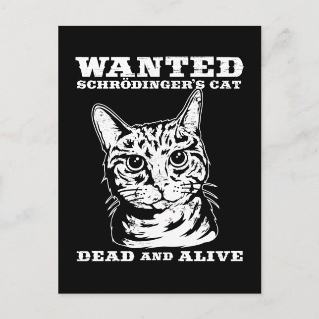 Carte Postale Le chat de Schrodinger voulait mort ou vivant (Devant)