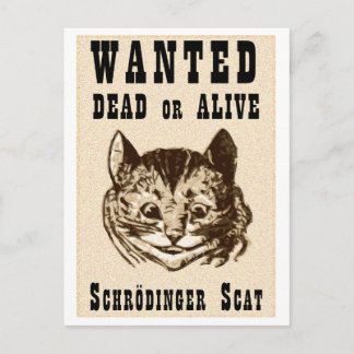 Carte Postale Le chat de Shrodinger voulait une affiche
