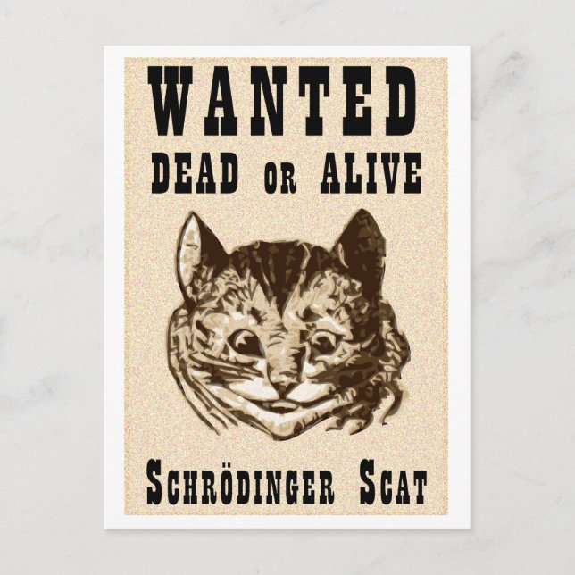 Carte Postale Le chat de Shrodinger voulait une affiche (Devant)