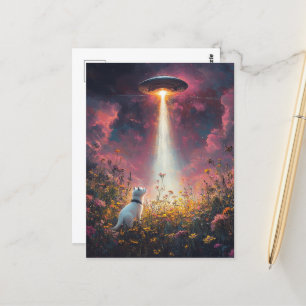 Carte Postale Le chat et un OVNI