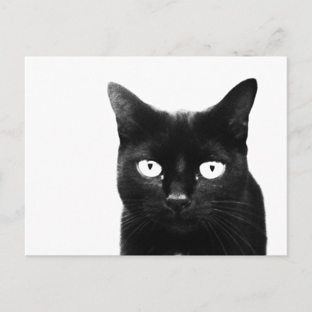 Carte Postale Le Chat Noir (Devant)