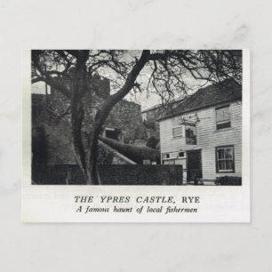 Carte Postale Le château d'Ypres, Rye