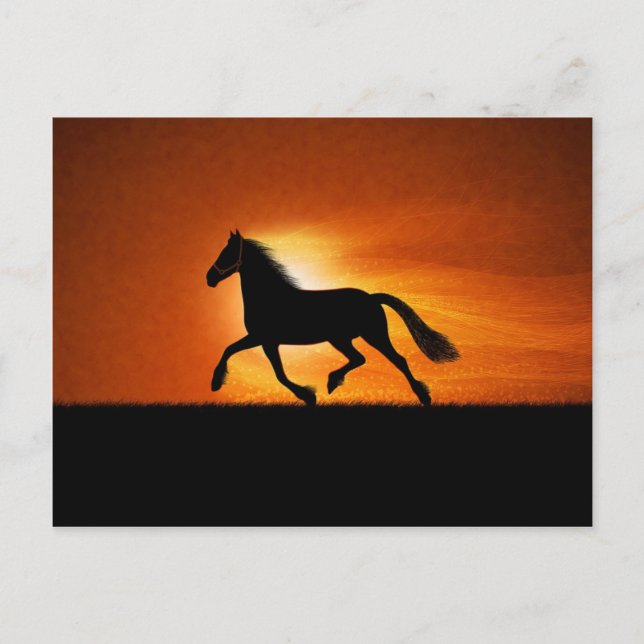 Carte Postale Le Cheval De Course (Devant)