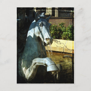 Carte Postale Le cheval de Neptune, Détail de la fontaine de la