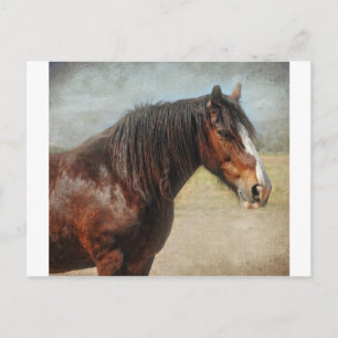 Carte Postale Le cheval de travail