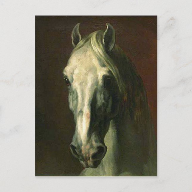 Carte Postale Le cheval Vintage (Devant)