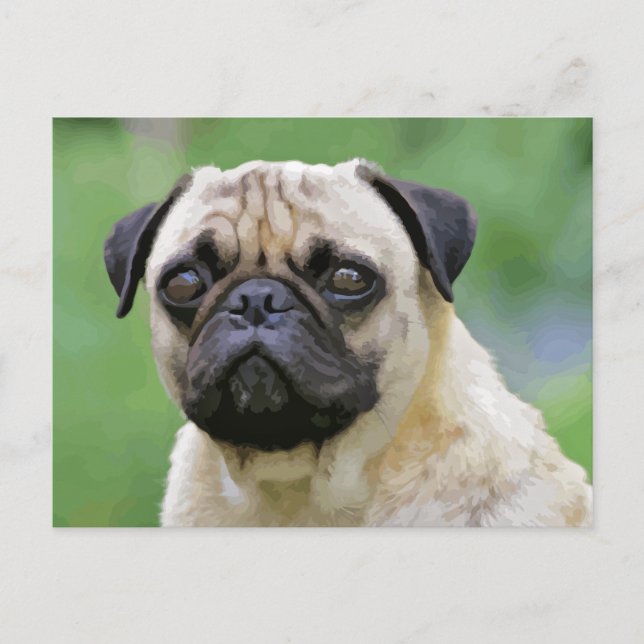 Carte Postale Le chien Carlin (Devant)