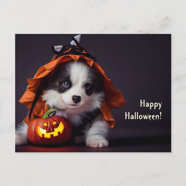 Carte Postale Le chien d'Halloween. Chiot à citrouille. Mignon. (Devant)