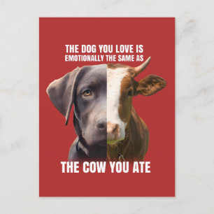 Carte Postale Le chien que vous aimez est le même que la vache q