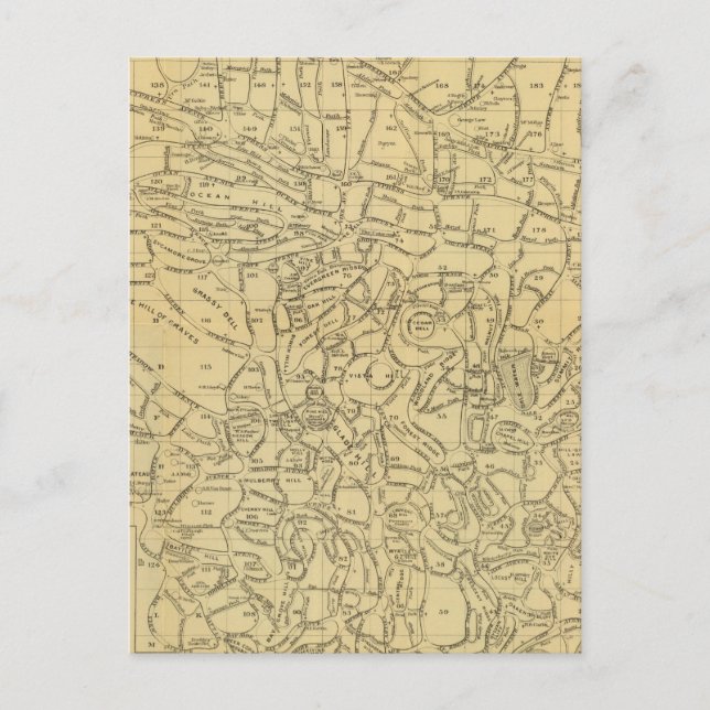 Carte Postale Le cimetière de bois vert (Devant)