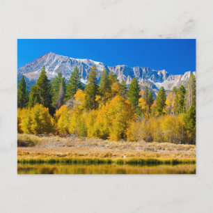 Carte Postale Le col Tioga du Parc national du Yosemite