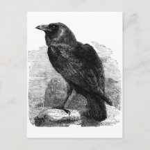Le Corbeau