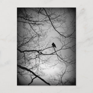 Carte Postale Le Corbeau