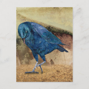 Carte Postale Le Corbeau M'Appelle !