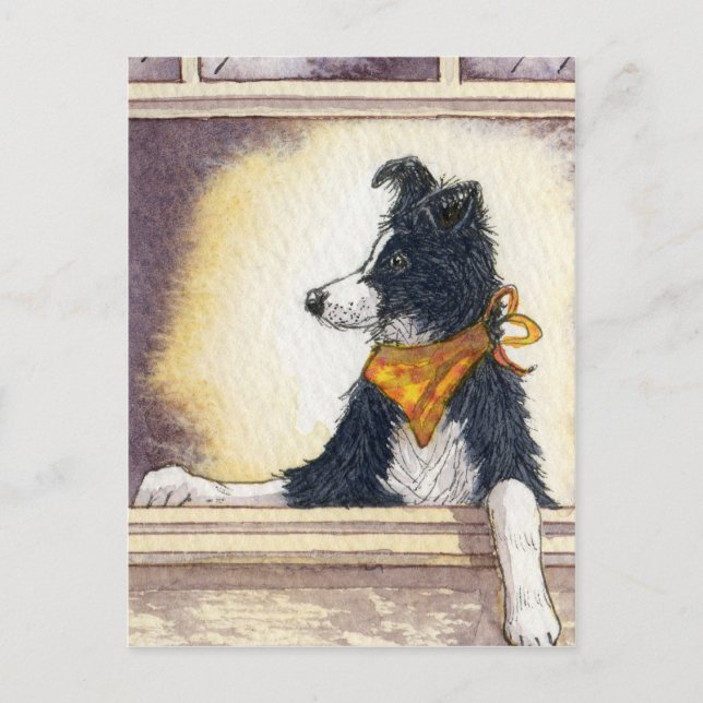 Carte Postale Le cowboy cool collie garde un oeil attentif... (Devant)