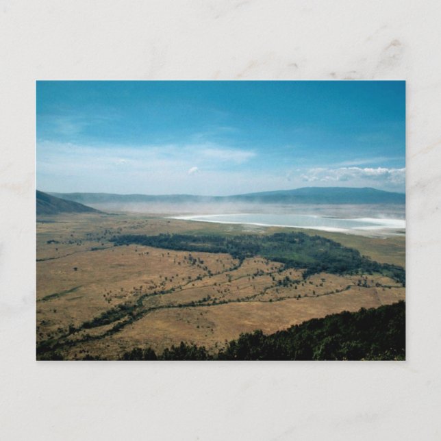 Carte Postale Le cratère de Ngorongoro (Devant)