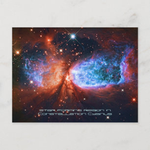 Carte Postale Le Cygne, Naissance étoilée en Constellation Cygnu