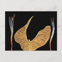 Le Dancer Loie Fuller Par Moser Koloman (Meilleur 