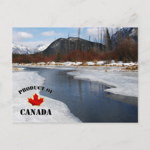 Carte Postale Le dégel du printemps à Banff