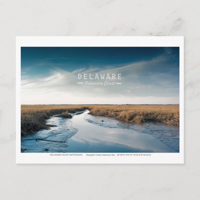 Carte Postale Le Delaware. (Devant)