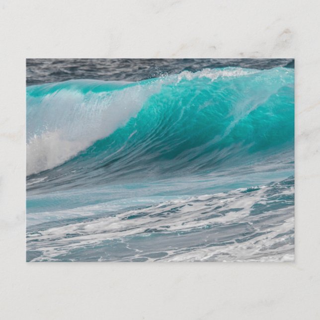 Carte Postale Le destin du littoral de Sea Foam Beach Mist (Devant)