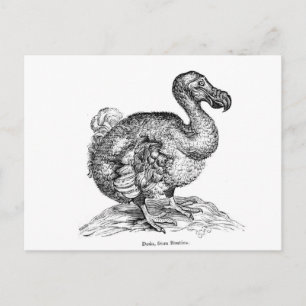 Carte Postale Le Dodo