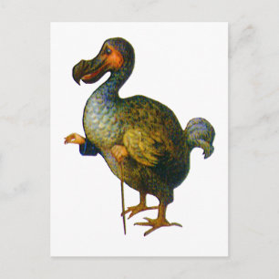 Carte Postale Le Dodo Bird