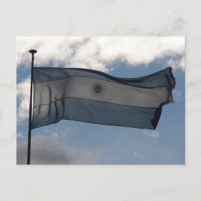 Carte Postale Le drapeau argentin (Devant)