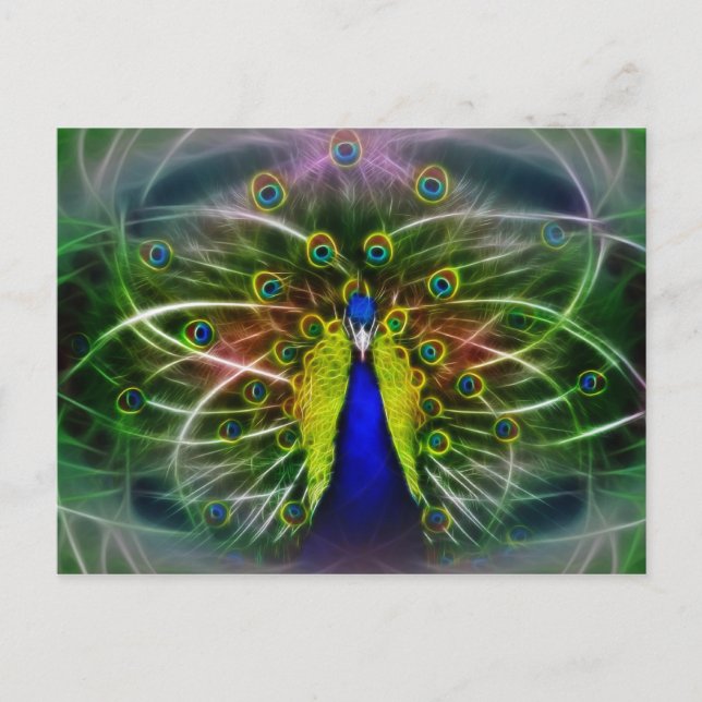 Carte Postale Le Dreamcatcher de Peacock (Devant)