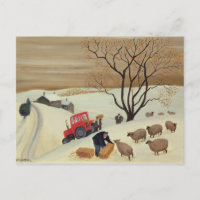 Le foin au mouton par tracteur