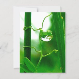 Carte Postale Le fou, le tarot dans la méditation de la nature