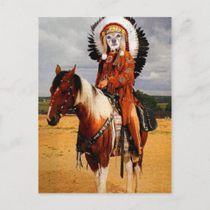 Carte Postale Le Fox est un chef indien