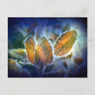 Carte Postale Le froid hivernal