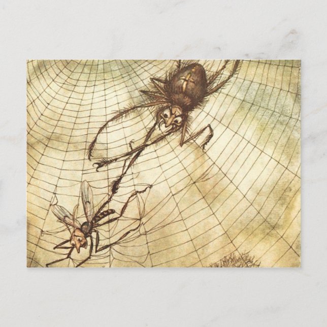 Carte Postale Le Gnat et le Lion (Devant)