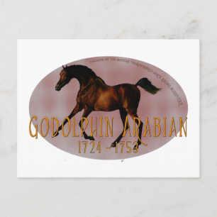 Carte Postale Le Godolphin Arabian