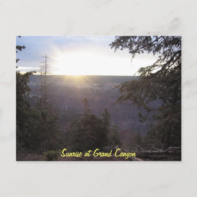 Carte Postale Le Grand Canyon (Devant)