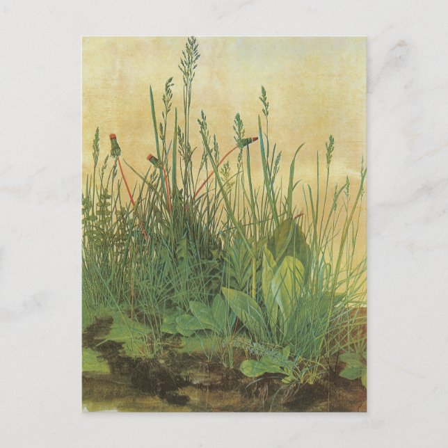 Carte Postale Le Grand (Grand) morceau de Turf par Albrecht Dure (Devant)